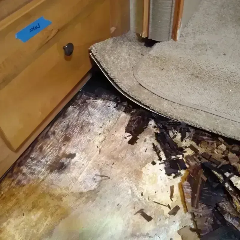 Wood Floor Water Damage in Marissa, IL